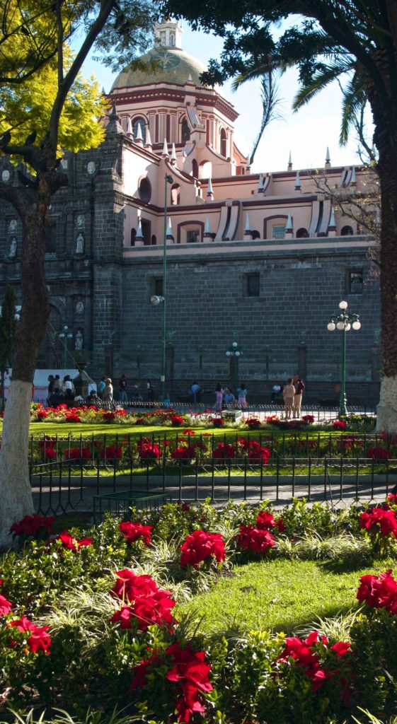 puebla zocoo christmas
