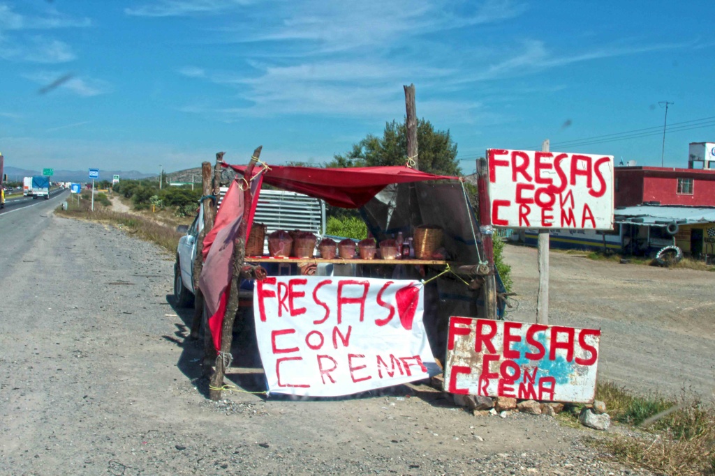 On The Road Guanajuato Fresh Strawberries Photograph by bill Bell