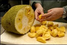 jack Fruit