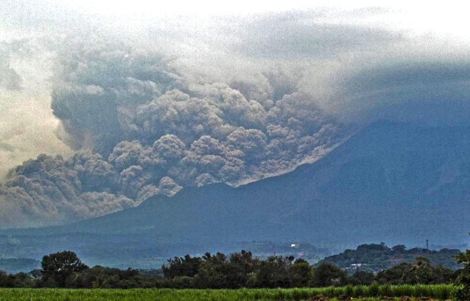 Part-MVD-Mvd6699605-1-1-0