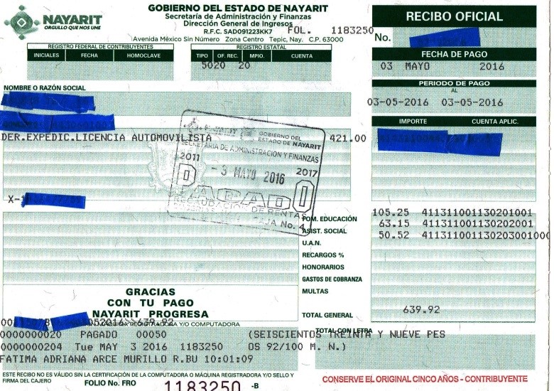 How to Obtain a Mexican Driver’s License in Nayarit – Mexico News