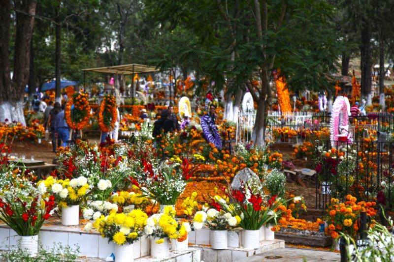 1378209_10151995823826103_386295649_n