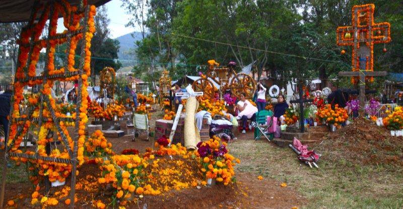 1383527_10151995819896103_203328010_n