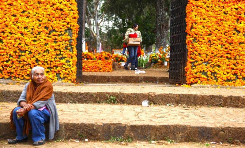 1383748_10151995823246103_1865248042_n