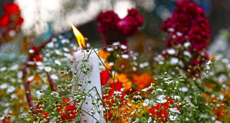 1390566_10151995820126103_342822144_n